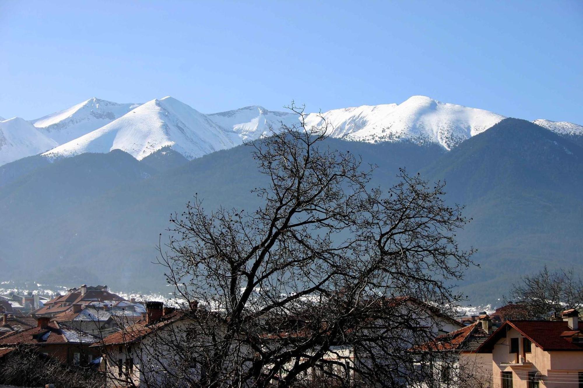 Family Hotel Bisser Bansko Extérieur photo