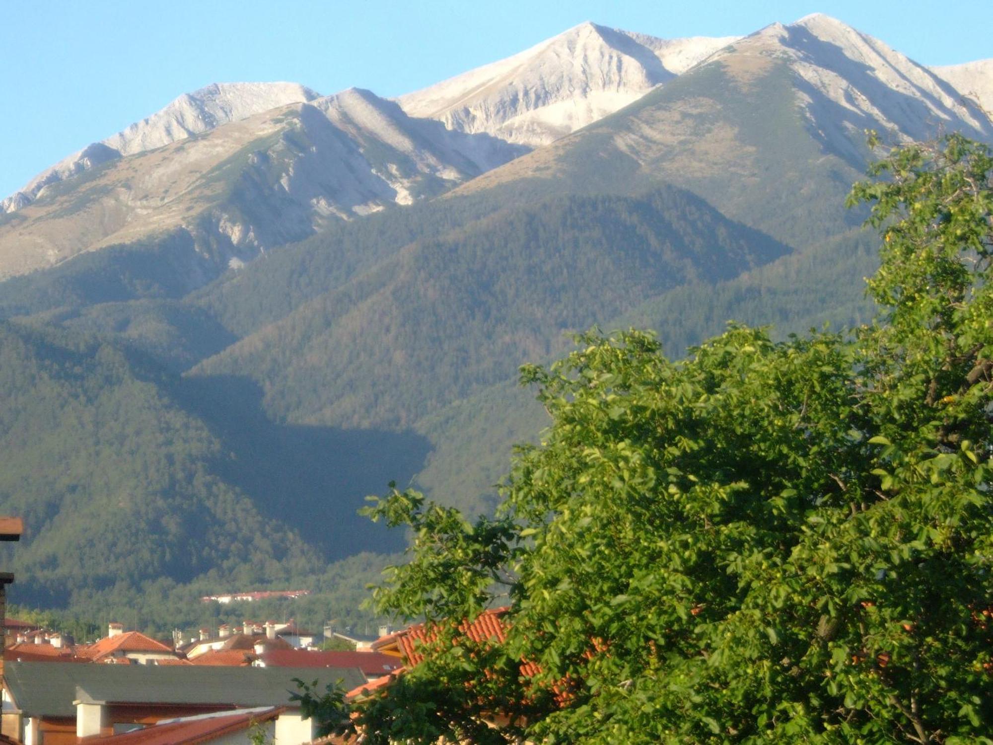 Family Hotel Bisser Bansko Extérieur photo